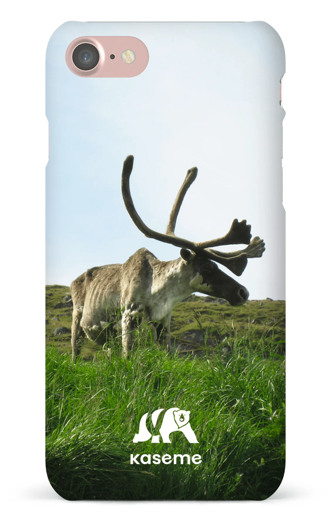 Caribou - Image 11