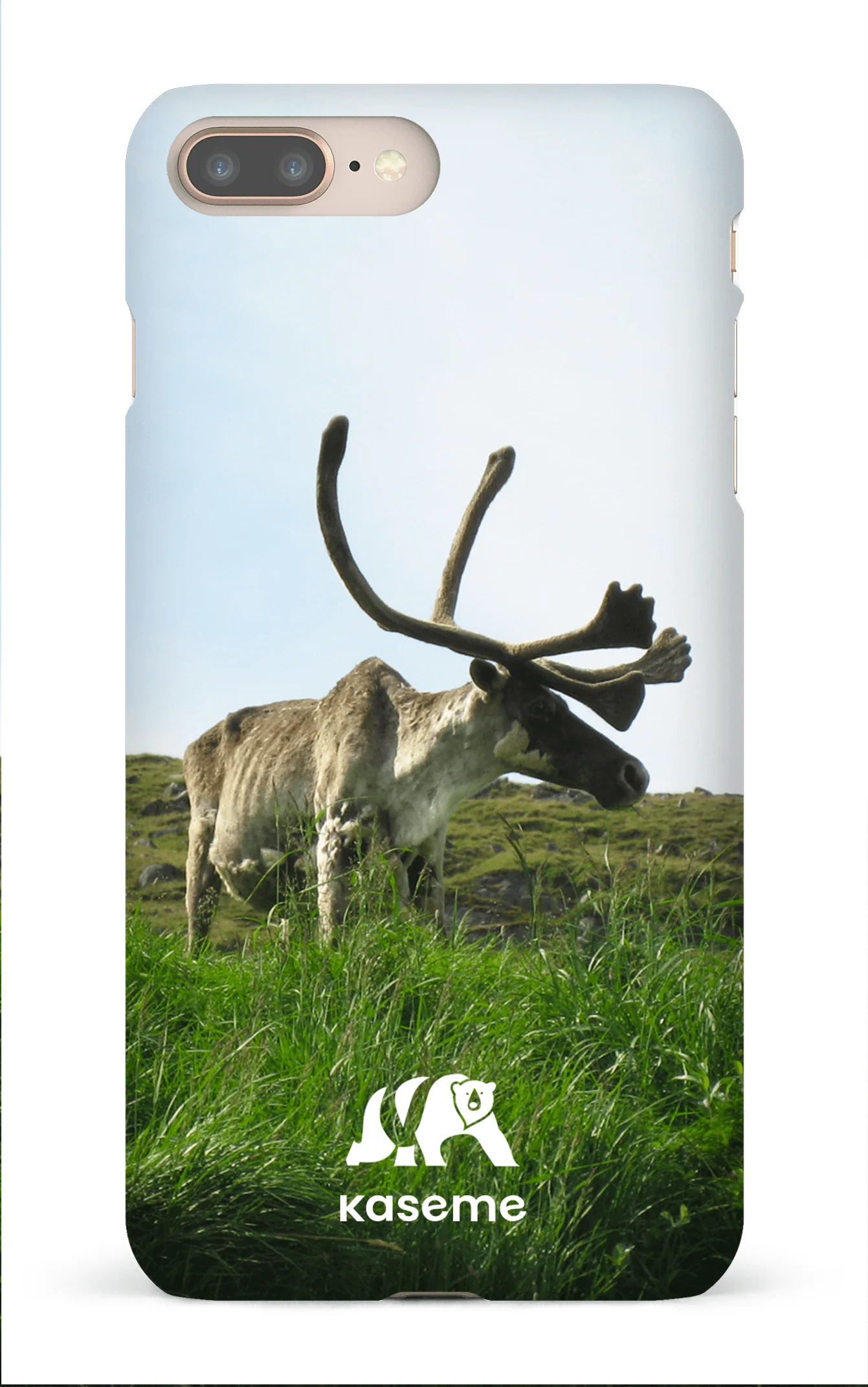 Caribou - Image 13