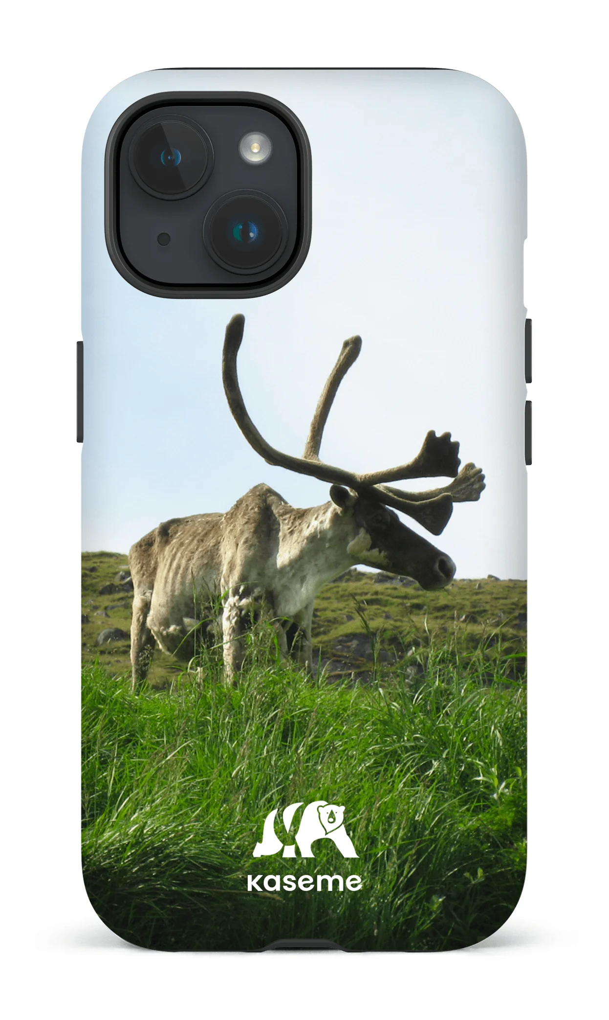 Caribou - Image 20