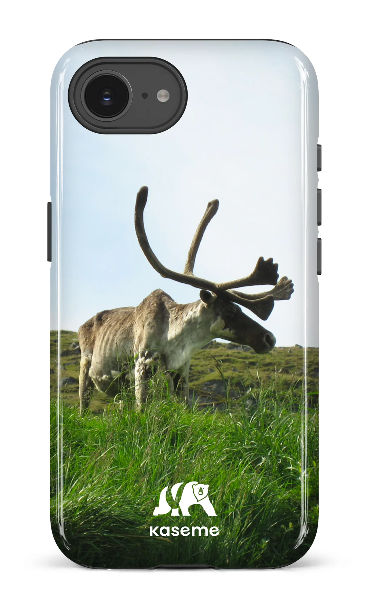 Caribou - Image 21