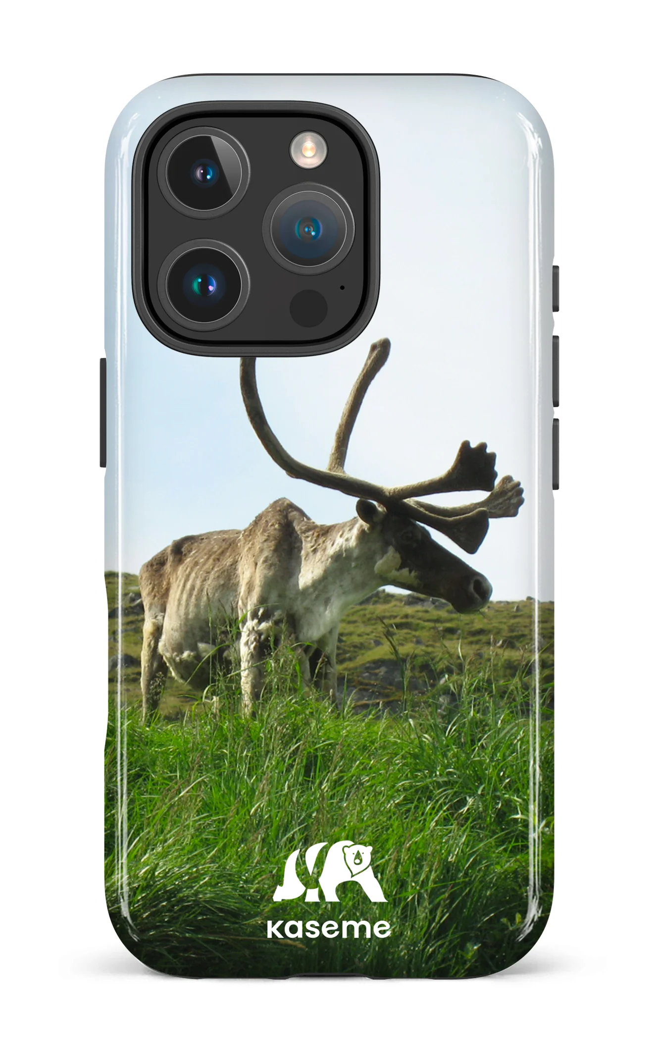Caribou - Image 22