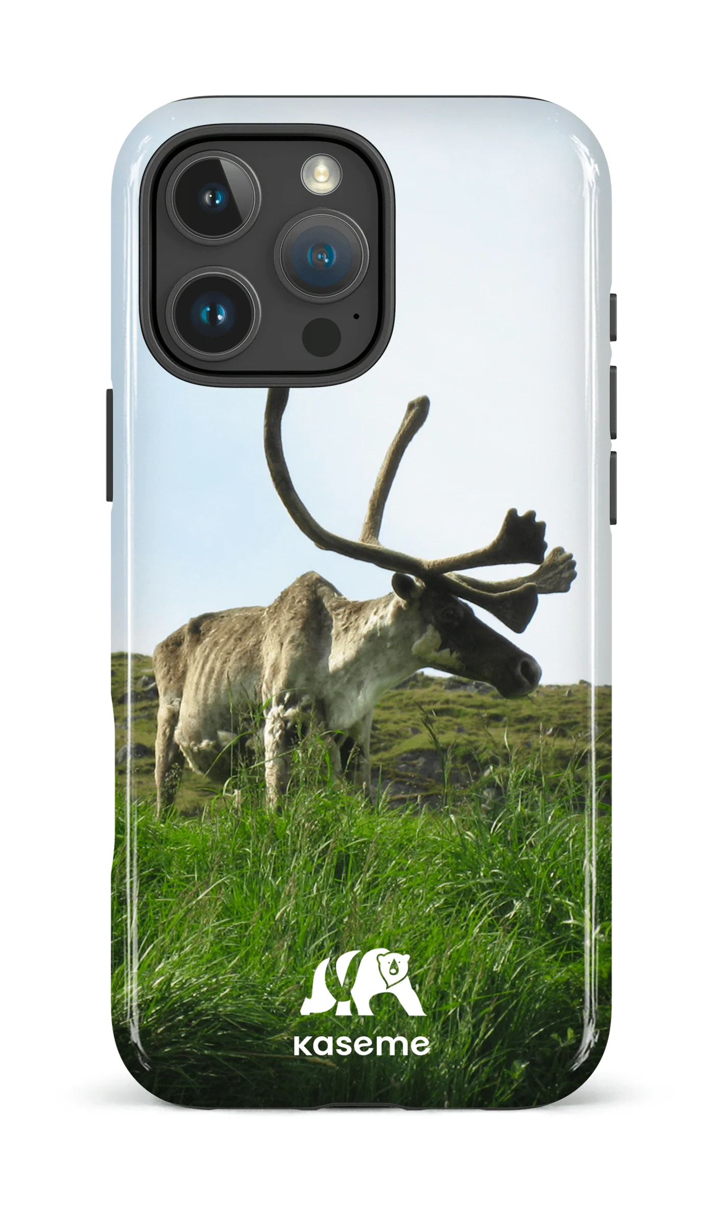 Caribou - Image 23