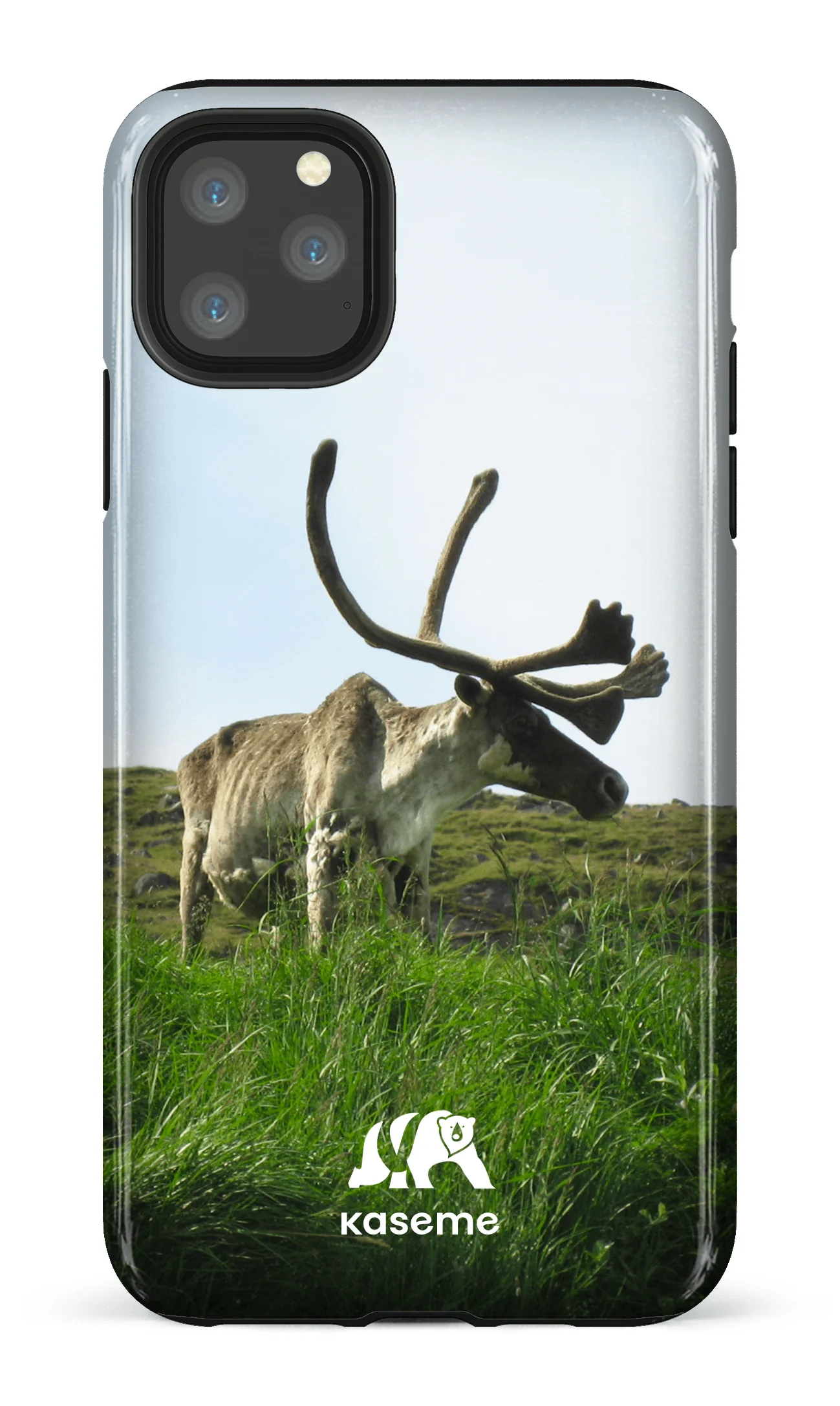 Caribou - Image 24