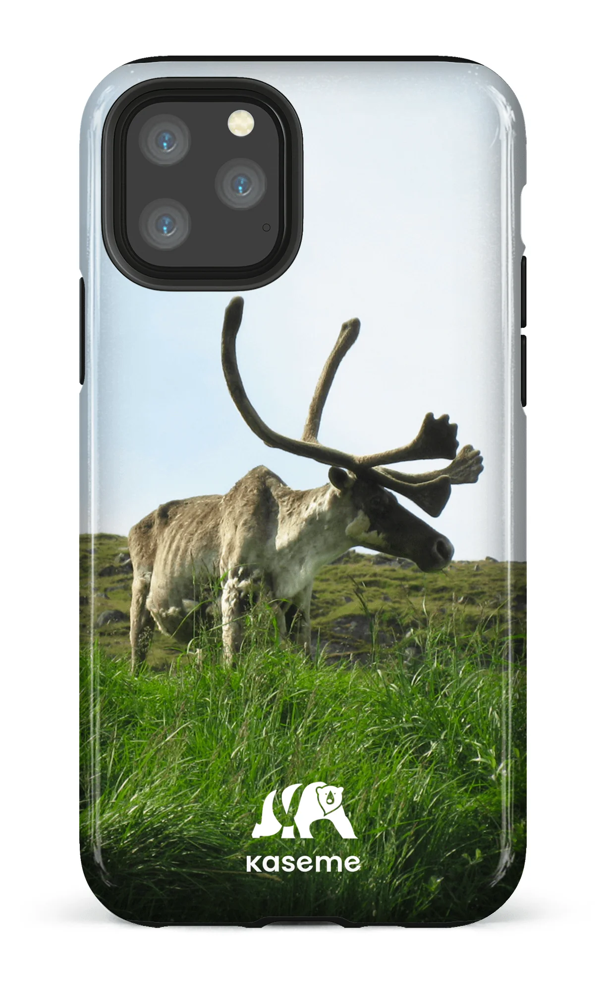 Caribou - Image 25