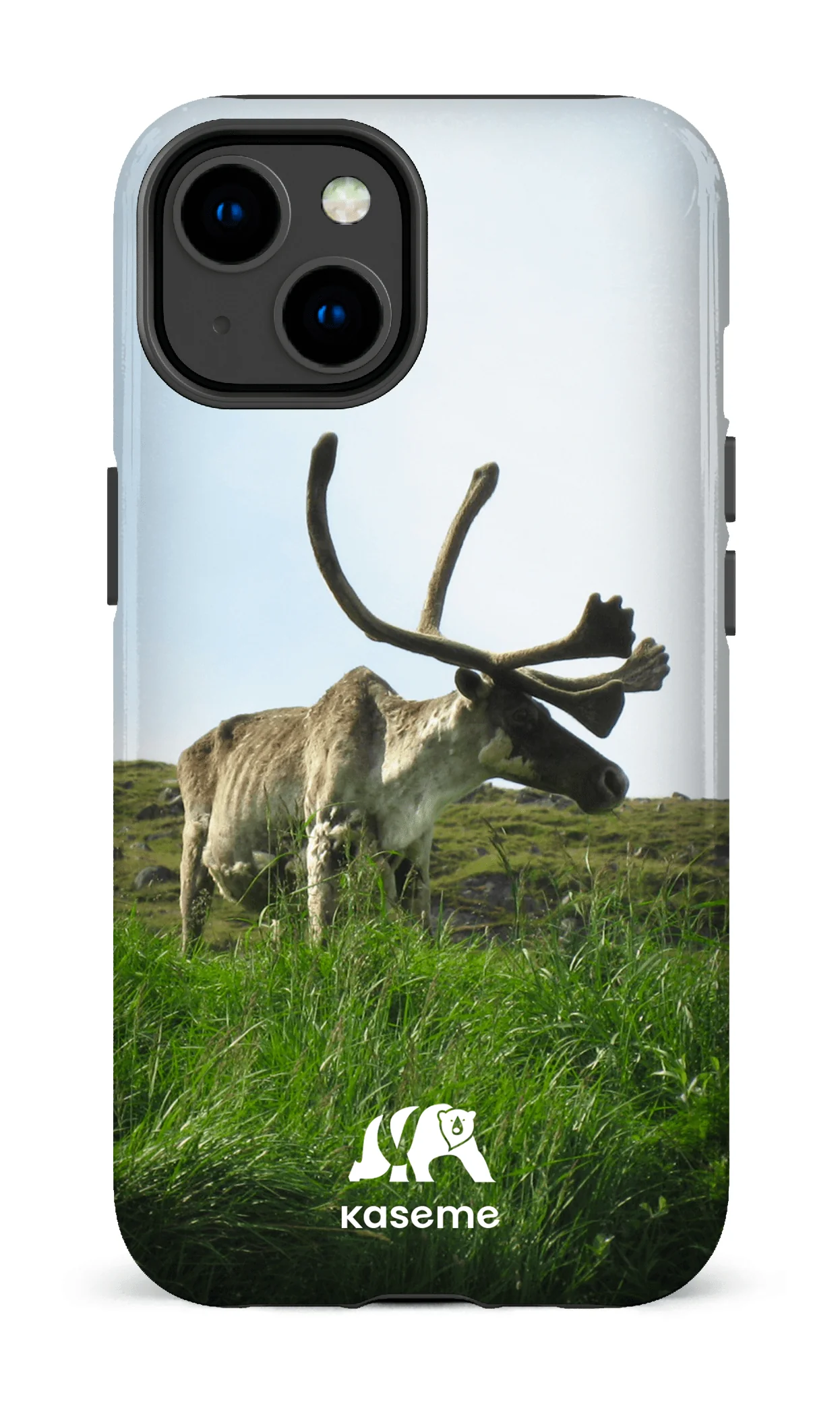 Caribou - Image 26
