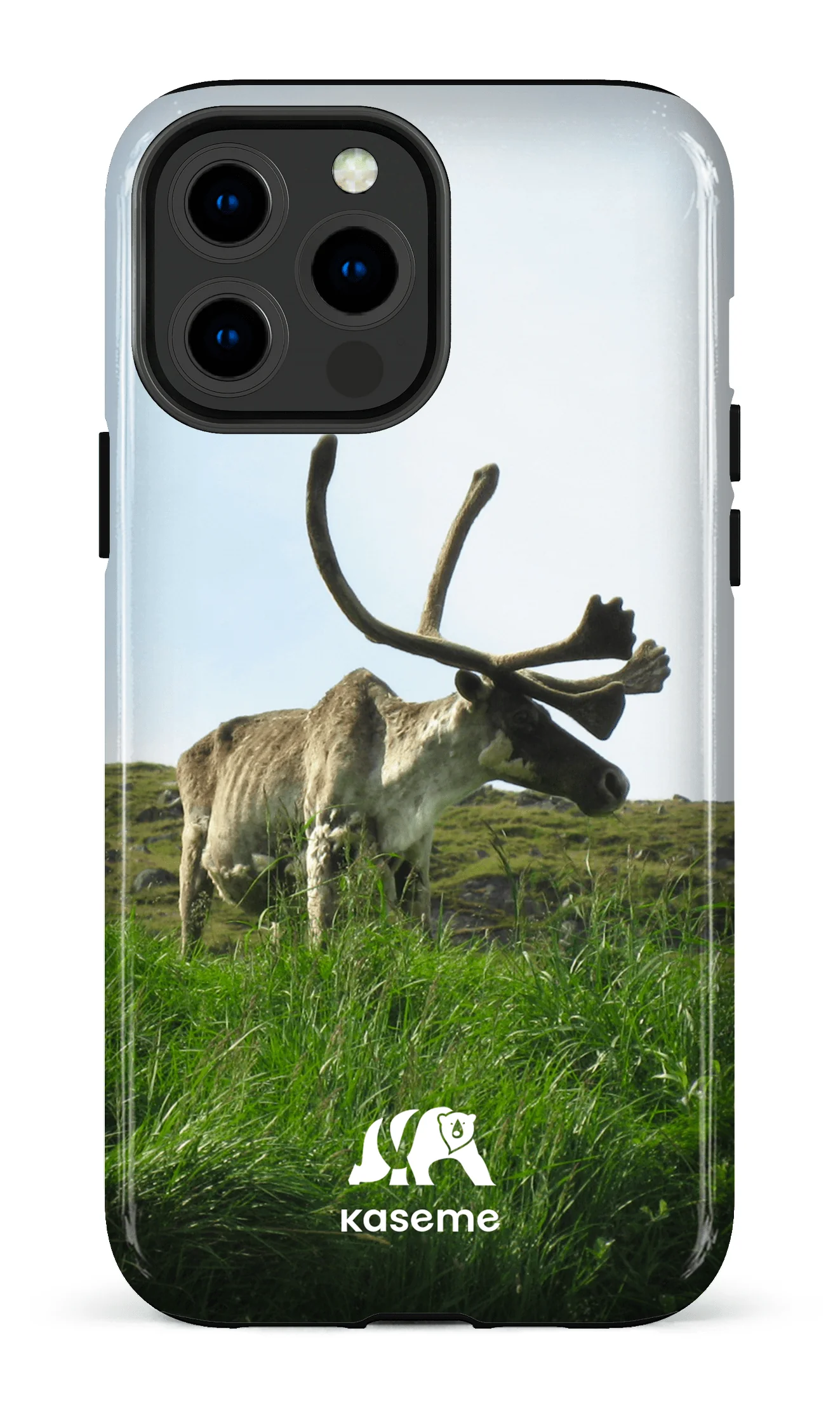 Caribou - Image 27