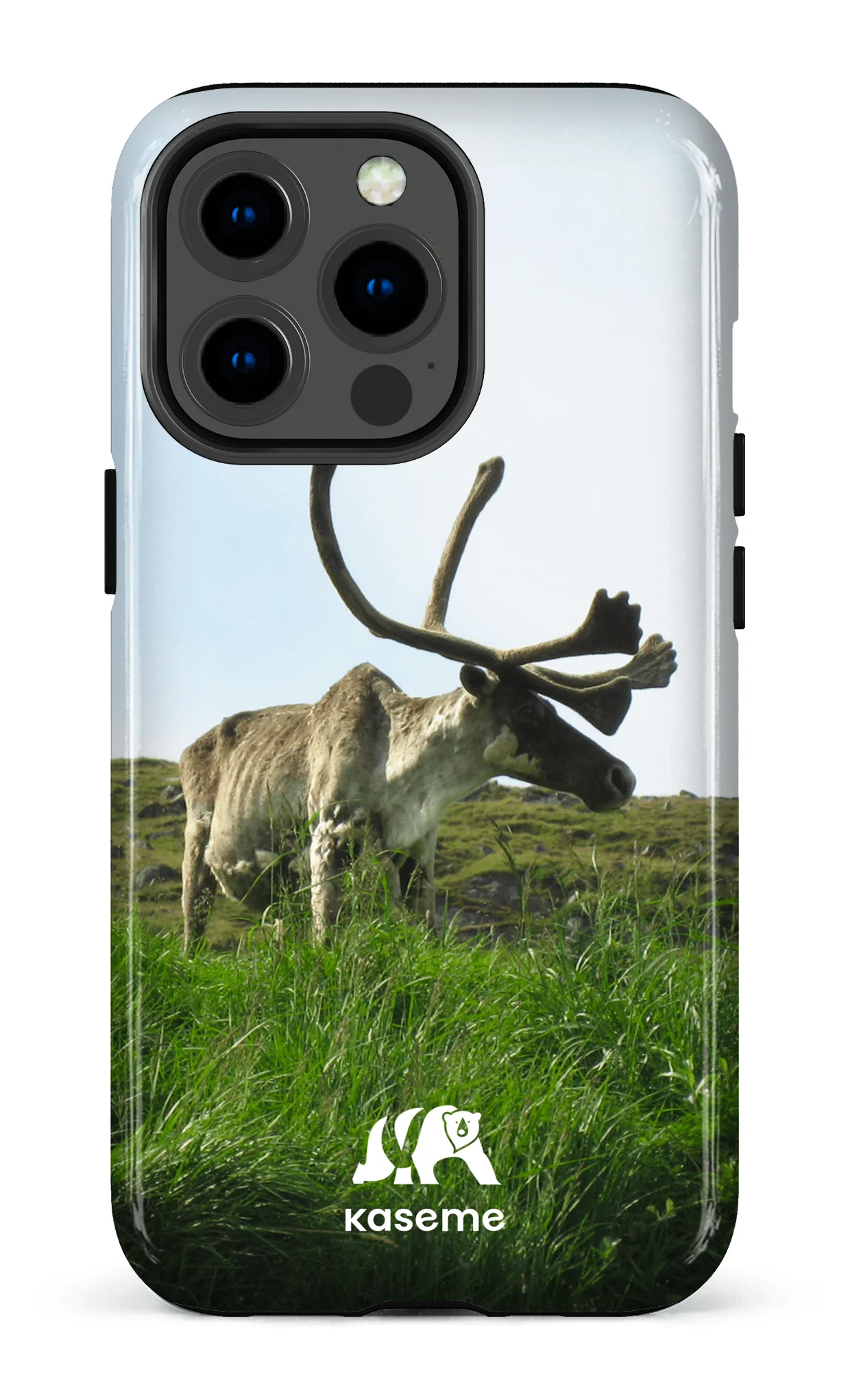 Caribou - Image 28