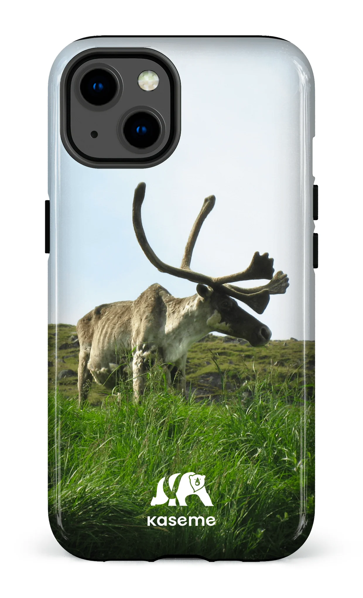 Caribou - Image 29