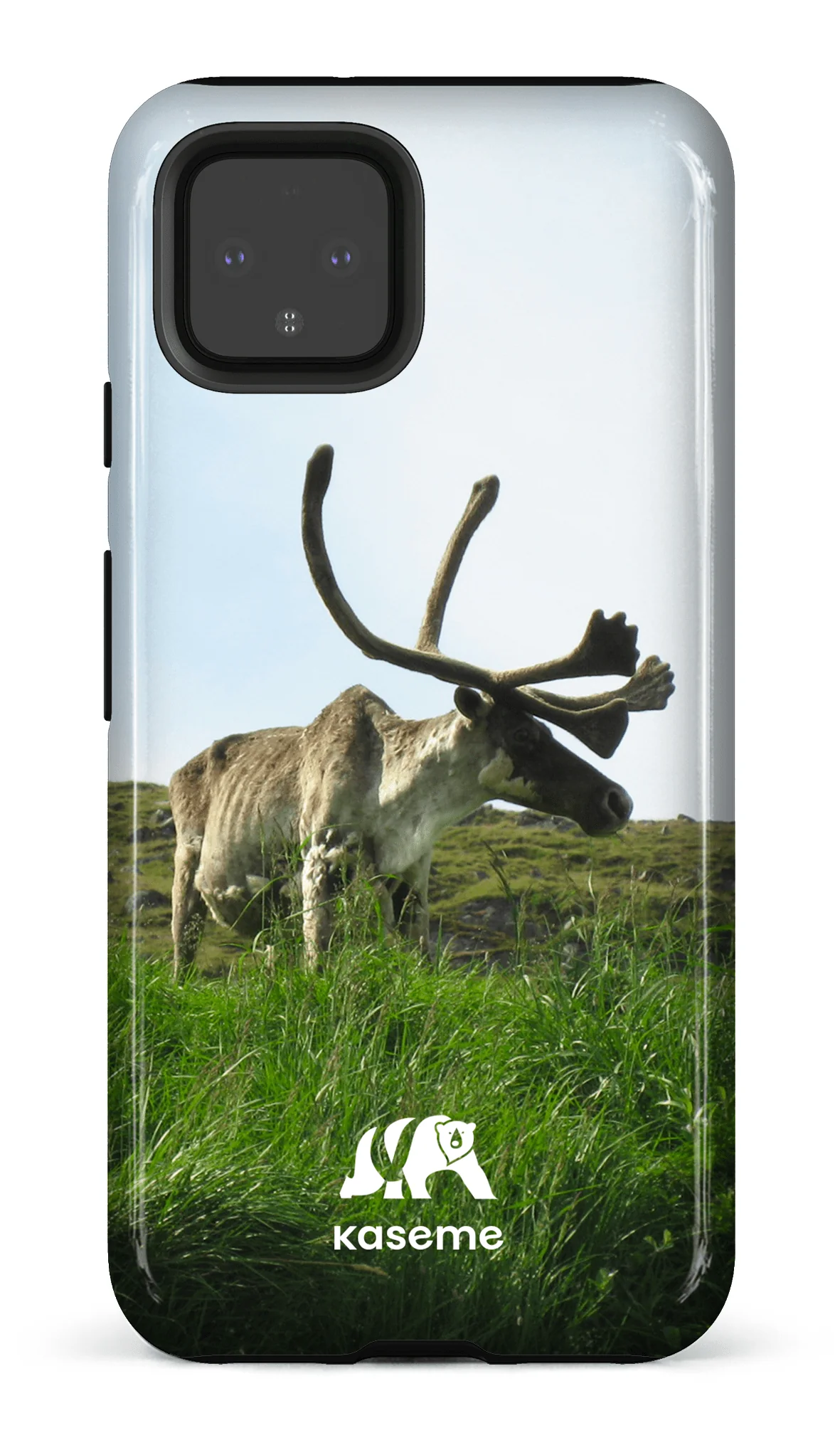 Caribou - Image 5