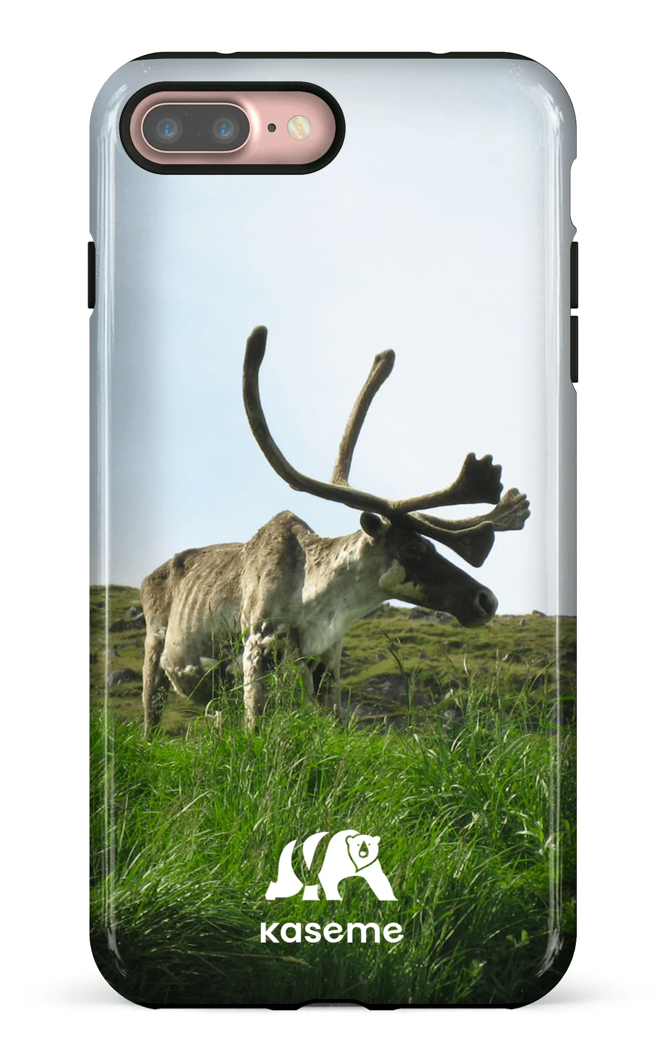 Caribou - Image 52