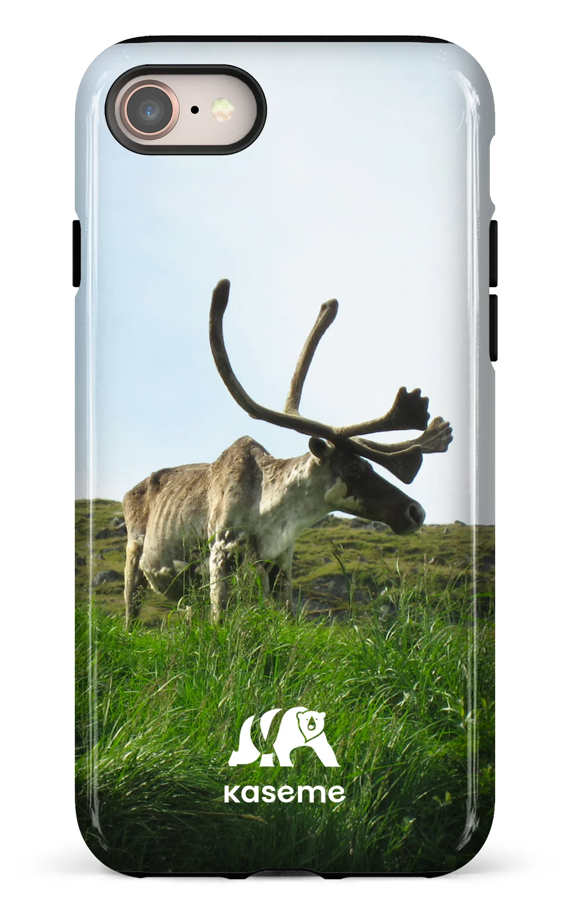 Caribou - Image 53