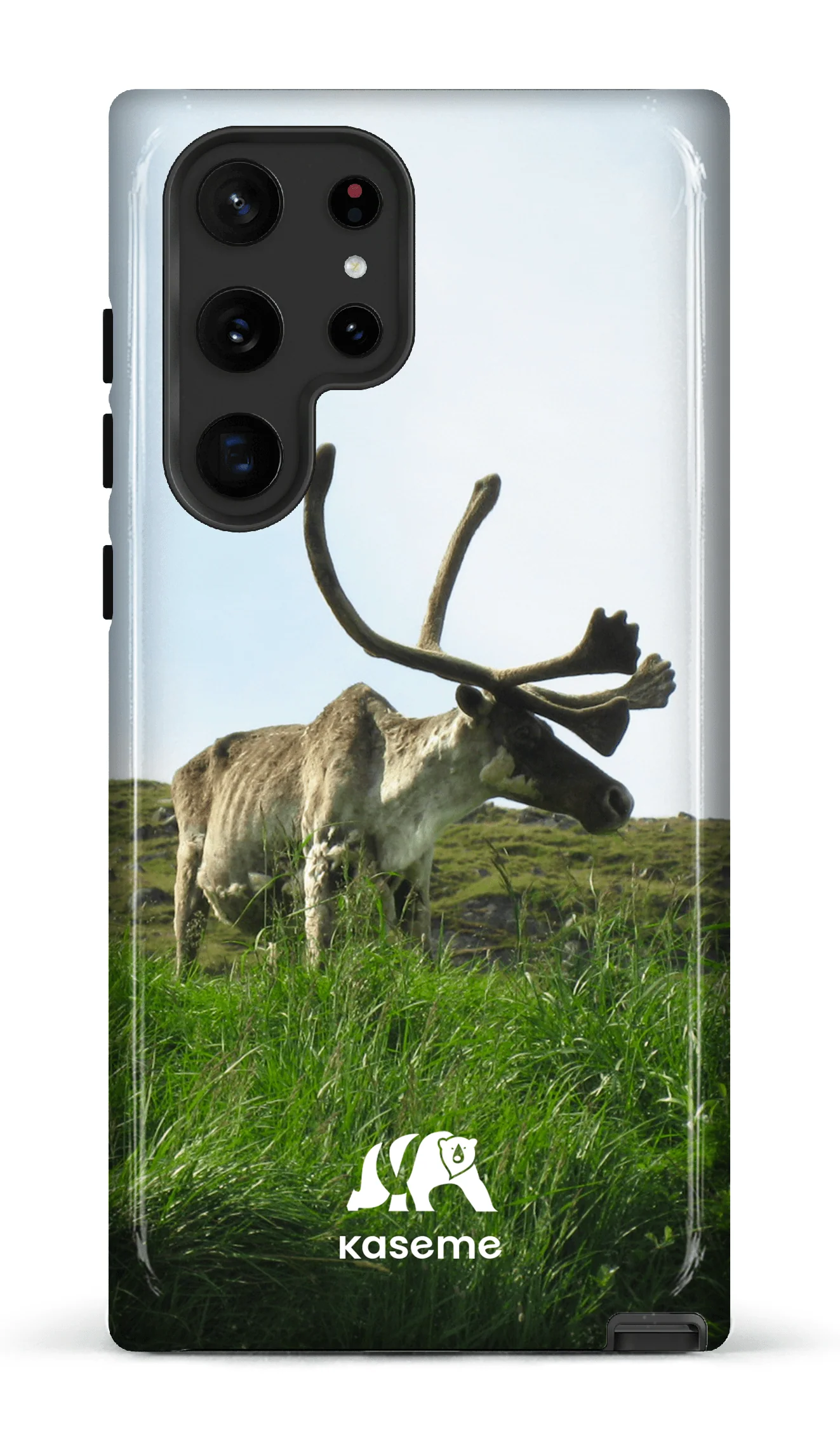 Caribou - Image 54