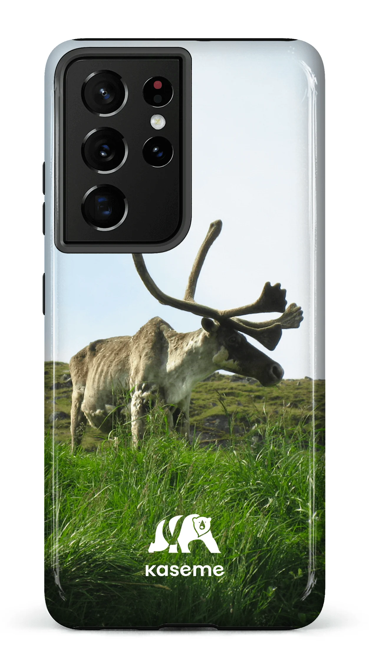 Caribou - Image 58
