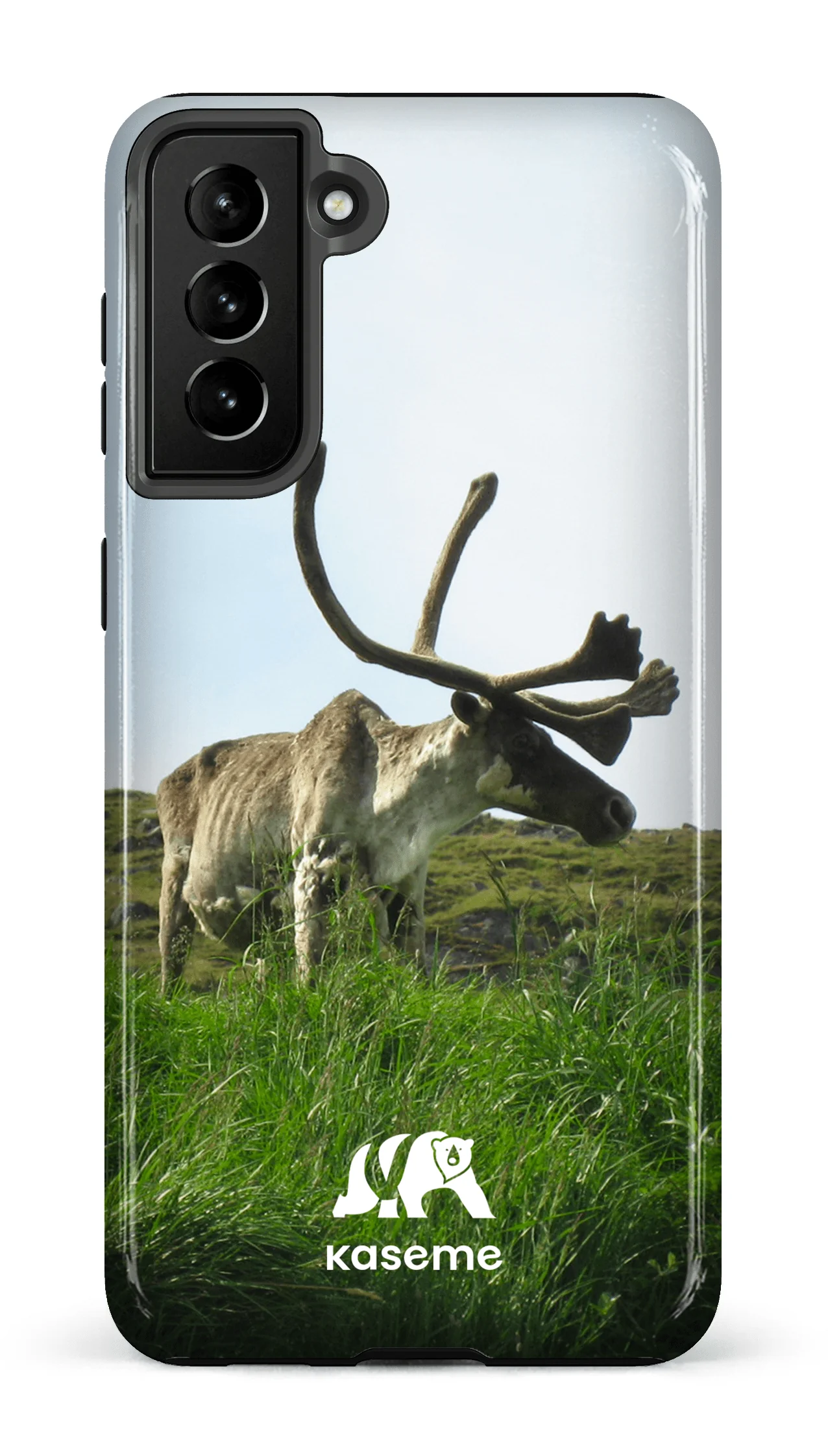 Caribou - Image 59