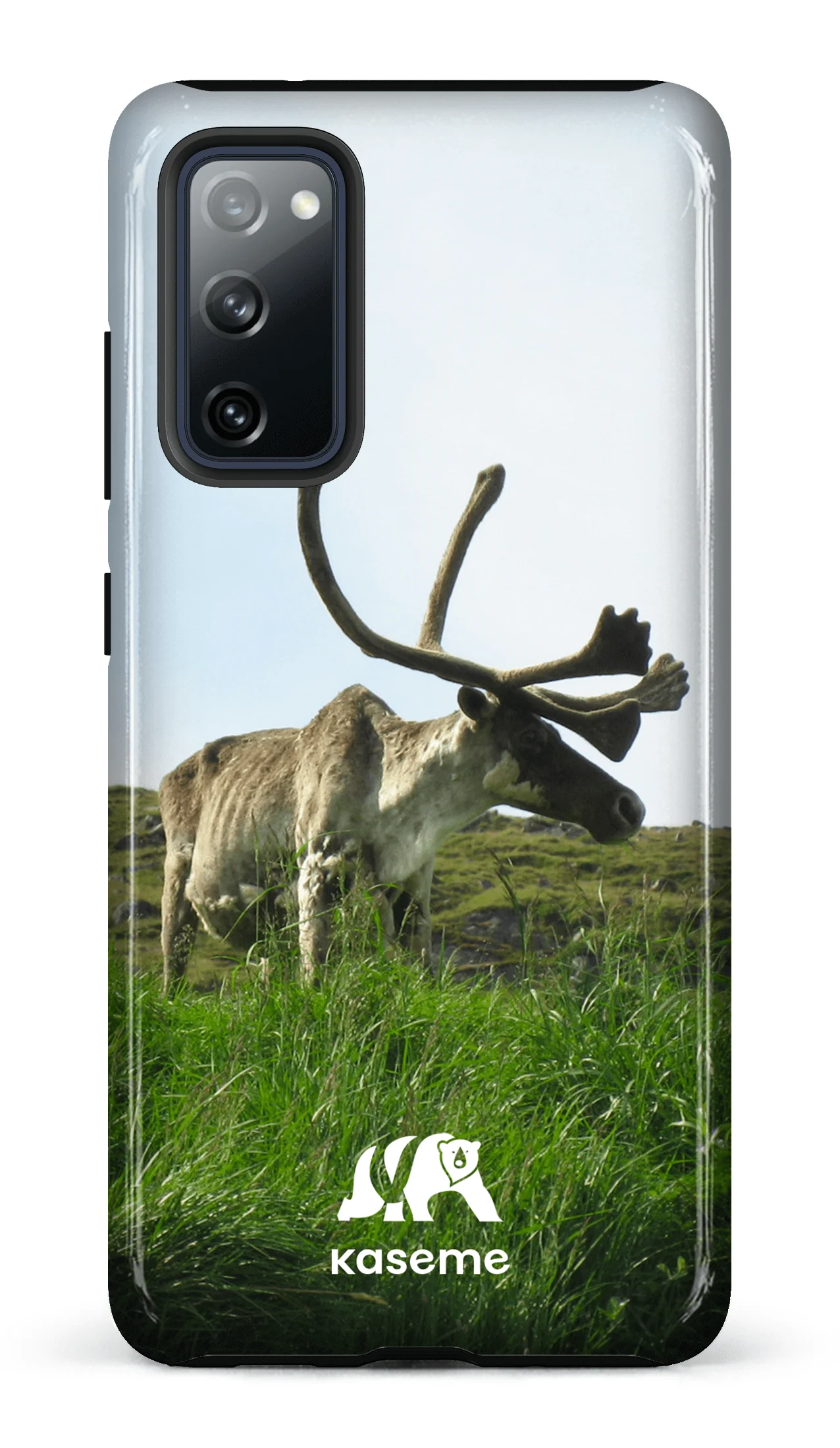 Caribou - Image 61