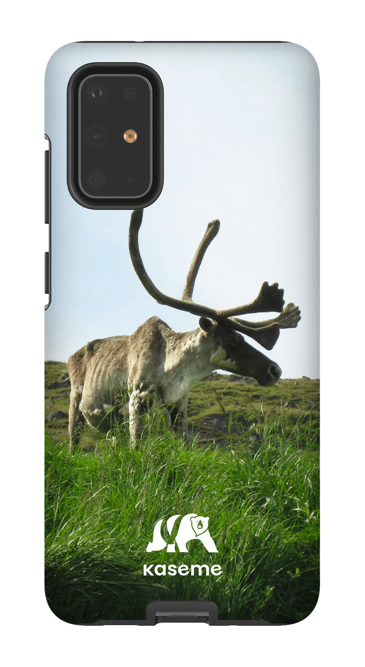 Caribou - Image 62