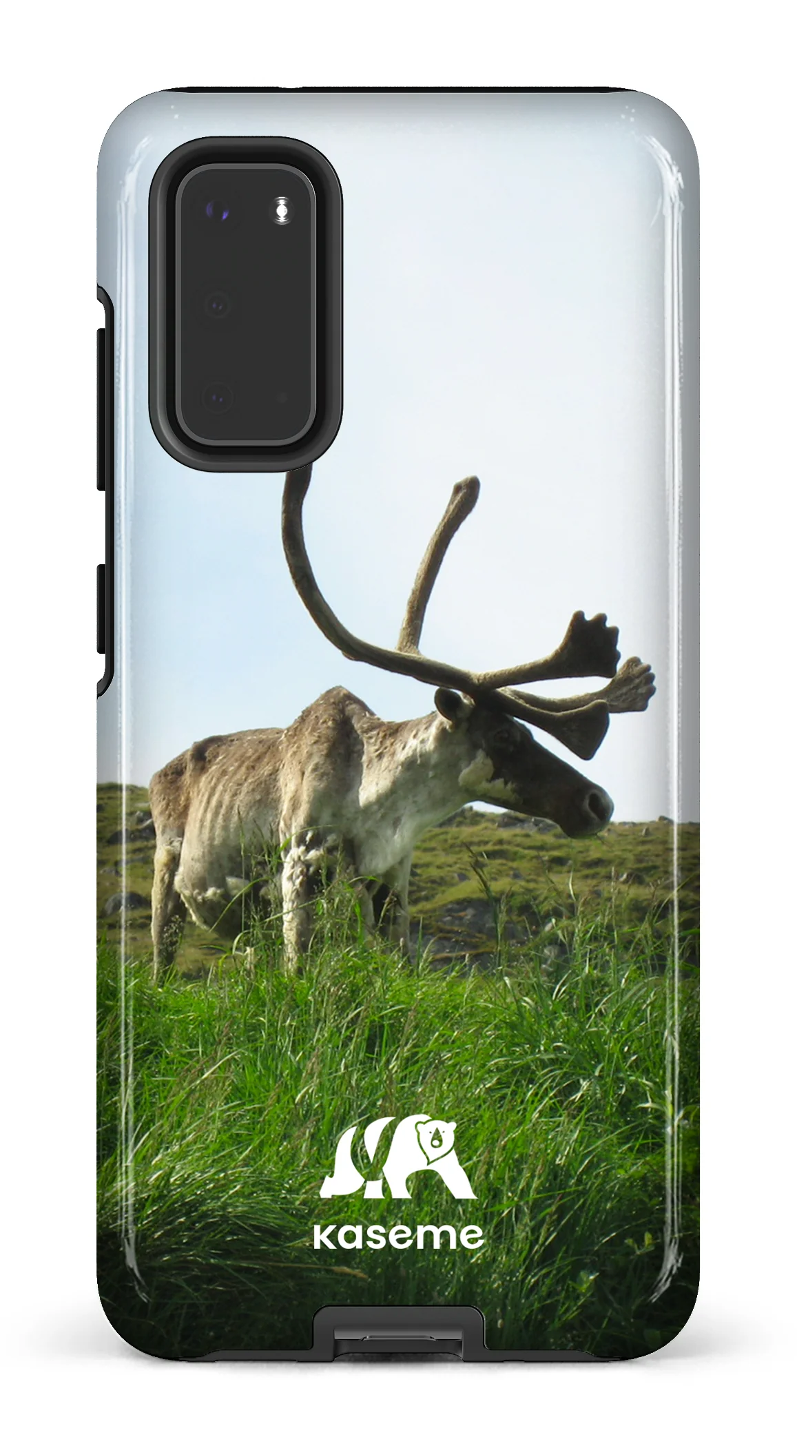 Caribou - Image 63