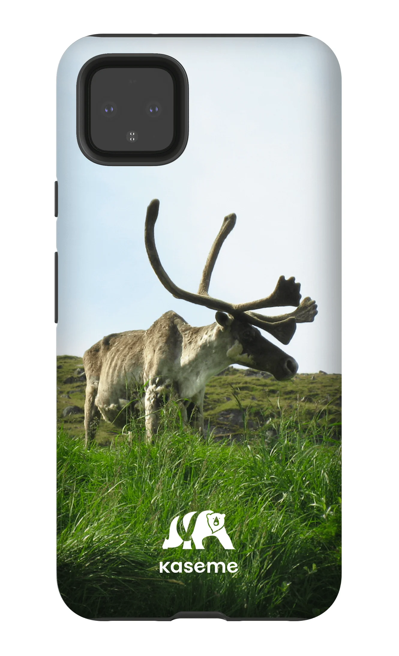 Caribou - Image 7