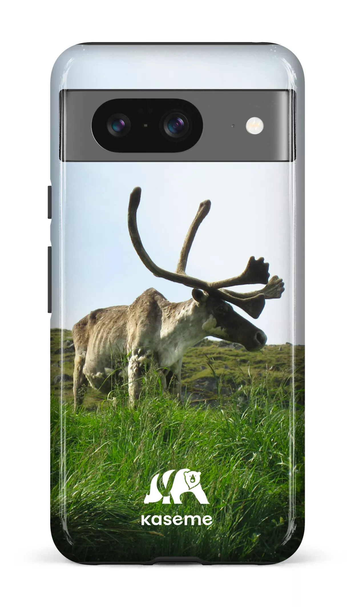 Caribou - Image 72