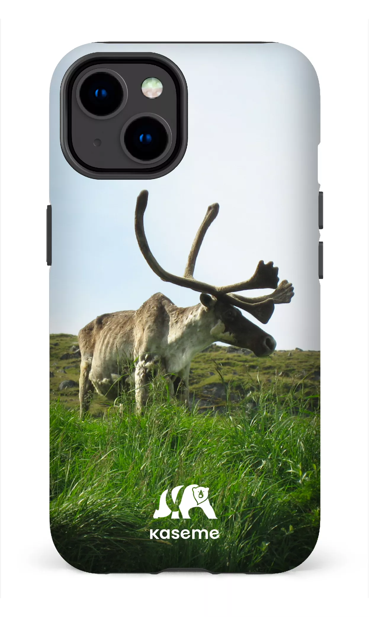 Caribou - Image 73