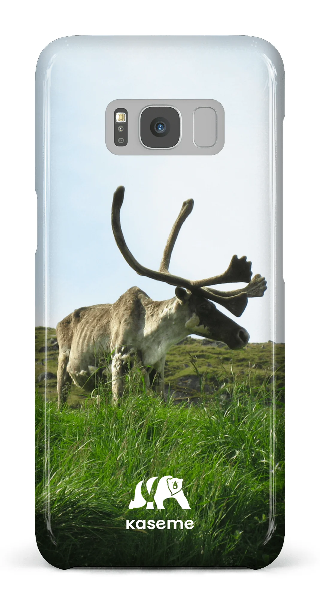 Caribou - Image 8